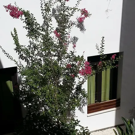 Apartamento Apartamentos Patio De Viana *