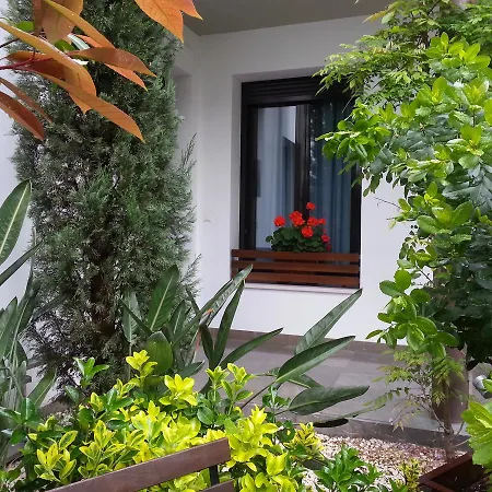 Apartamentos Patio De Viana Córdoba